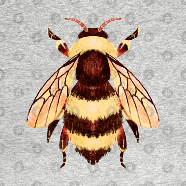 Cute and Fuzzy Honeybee Bug by narwhalwall